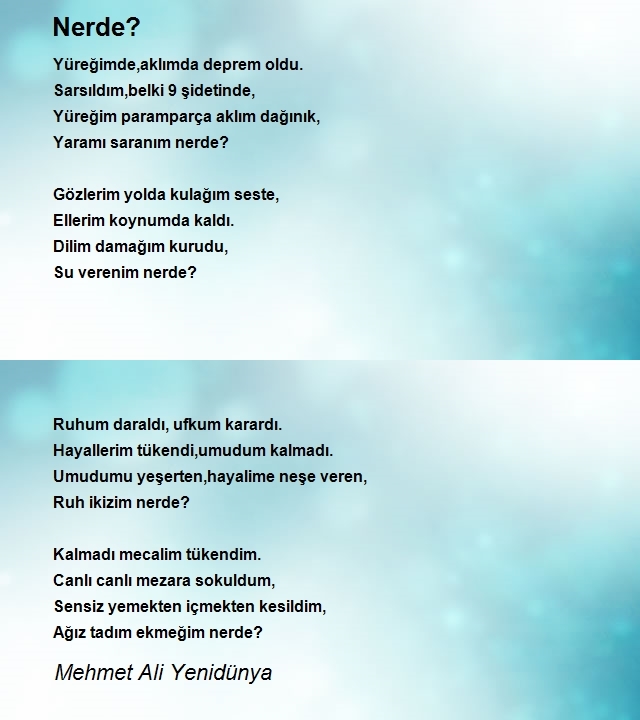 Mehmet Ali Yenidünya