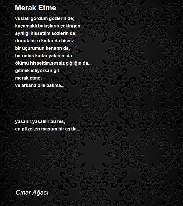 Çınar Ağacı