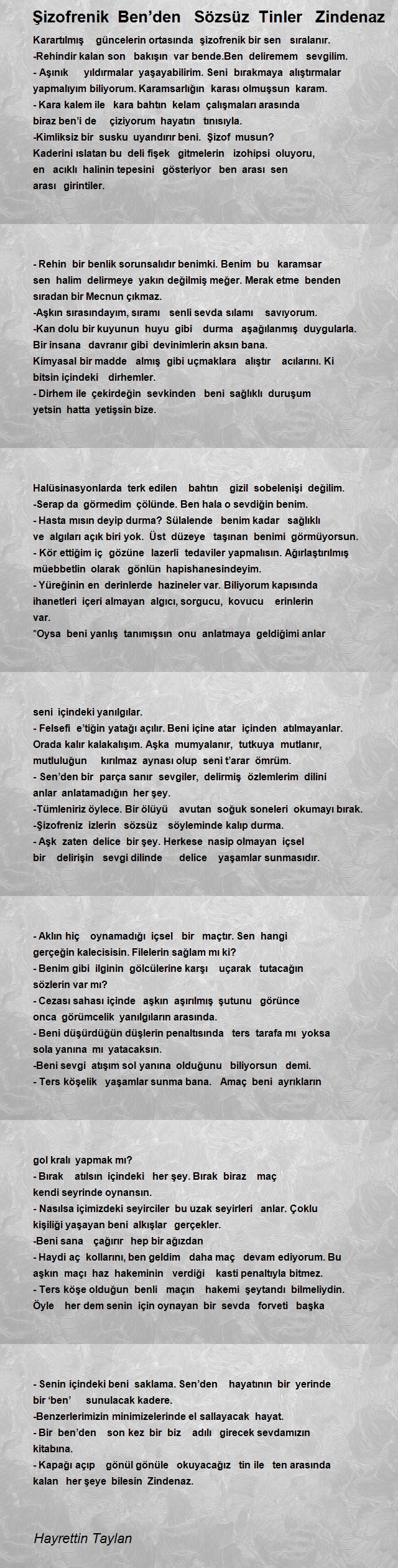 Hayrettin Taylan