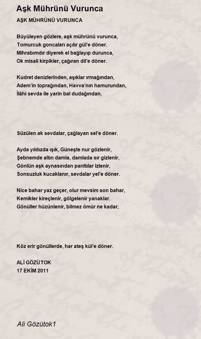 Ali Gözütok1