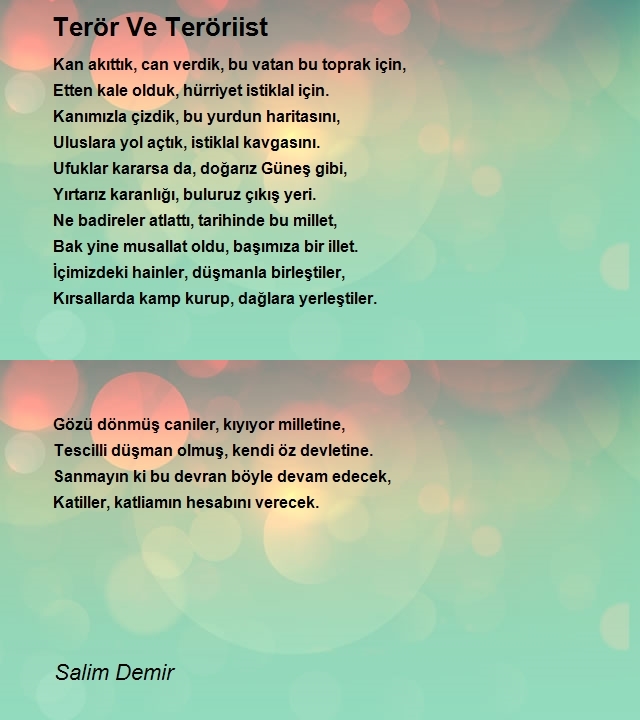 Salim Demir