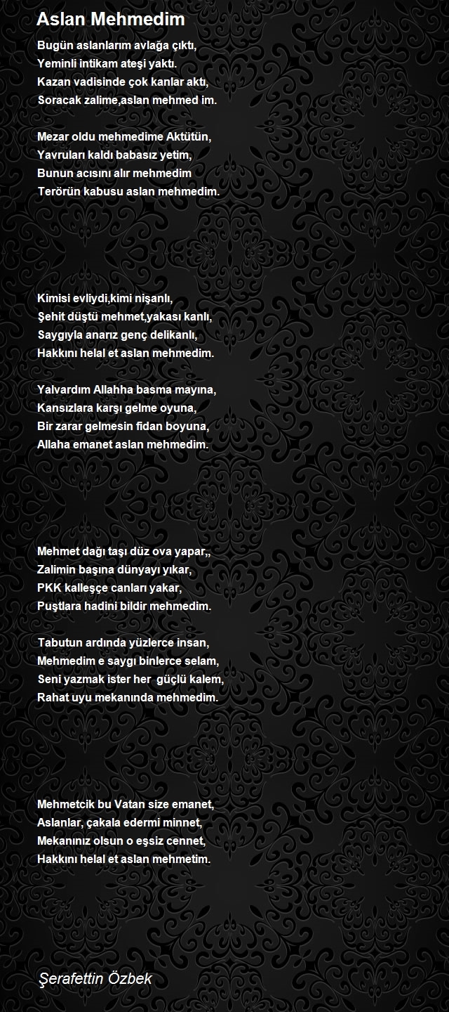 Şerafettin Özbek