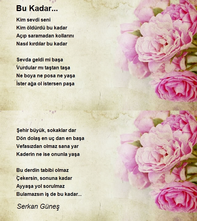 Serkan Güneş