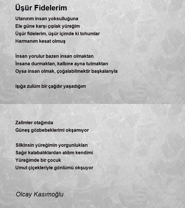 Olcay Kasımoğlu