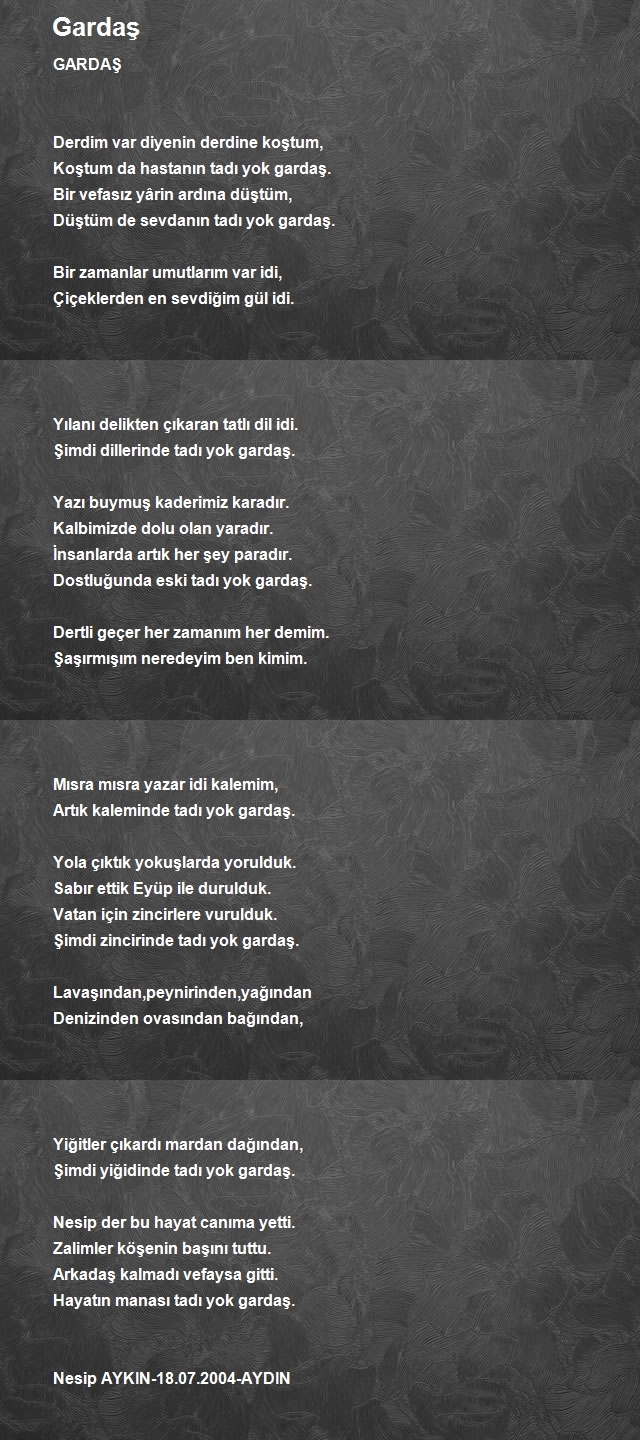 Nesip Aykın