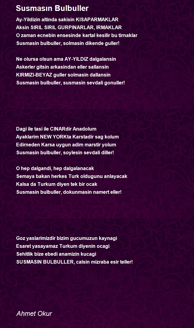 Ahmet Okur
