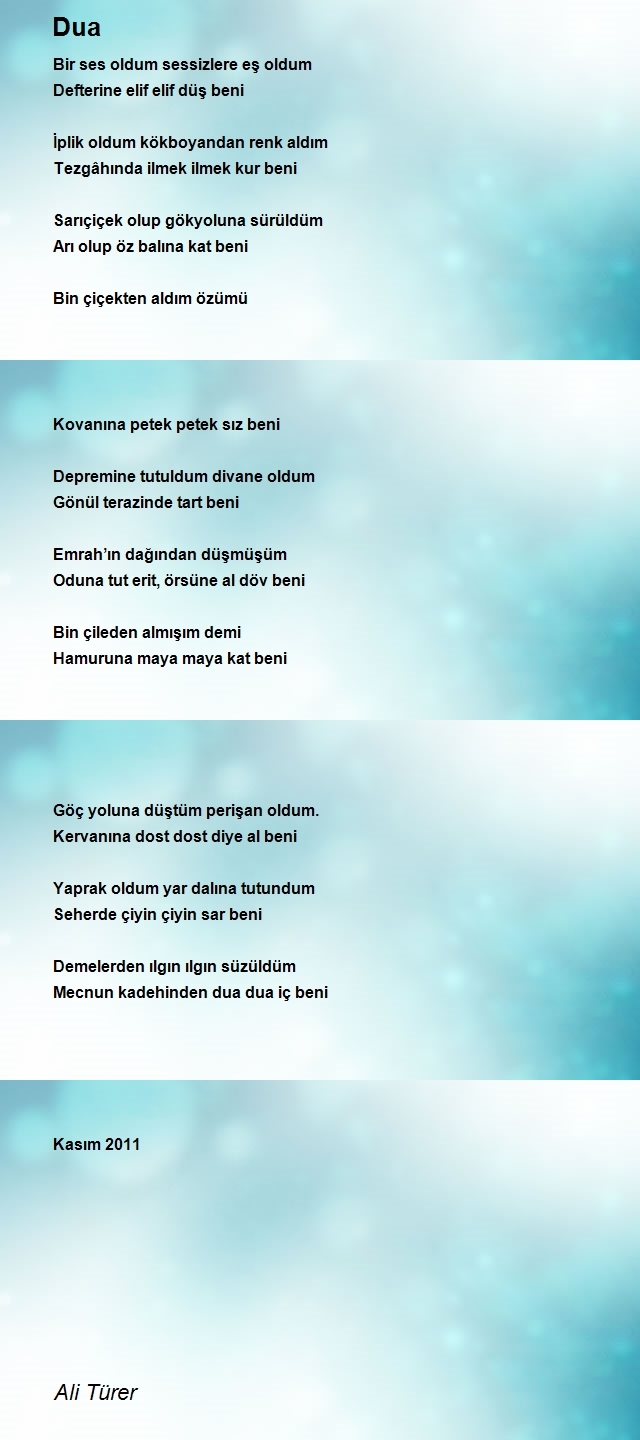 Ali Türer