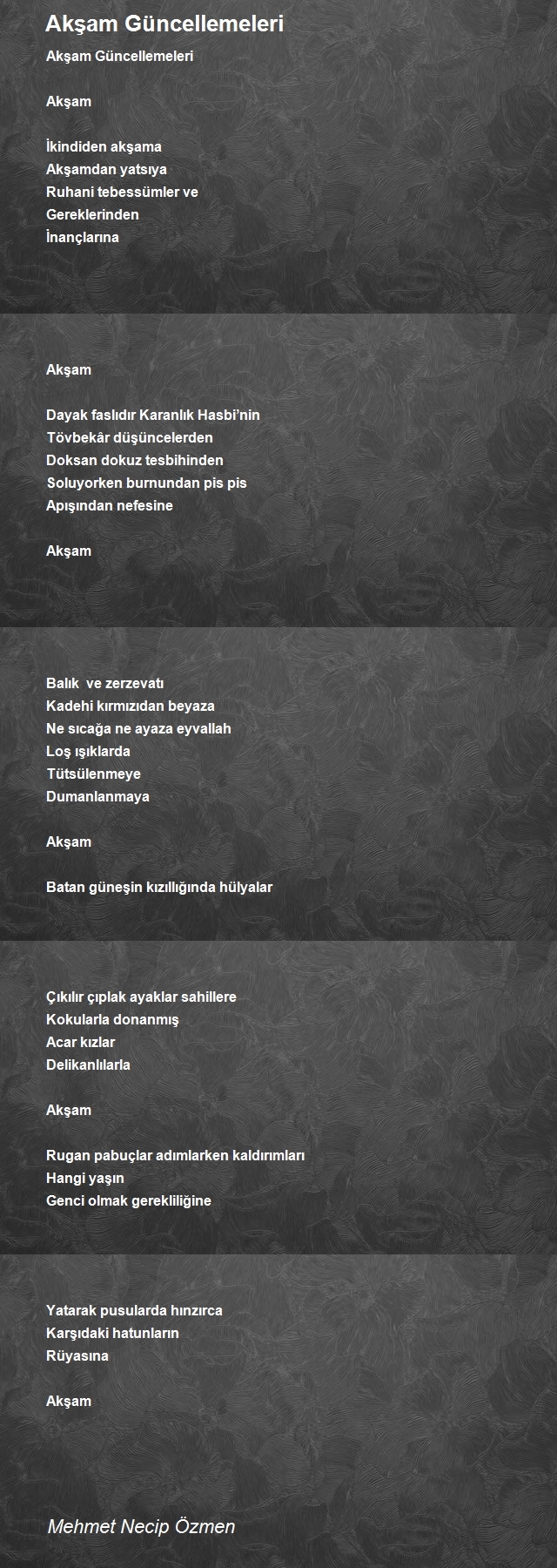 Mehmet Necip Özmen