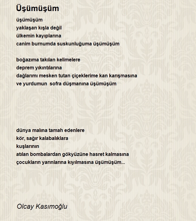 Olcay Kasımoğlu