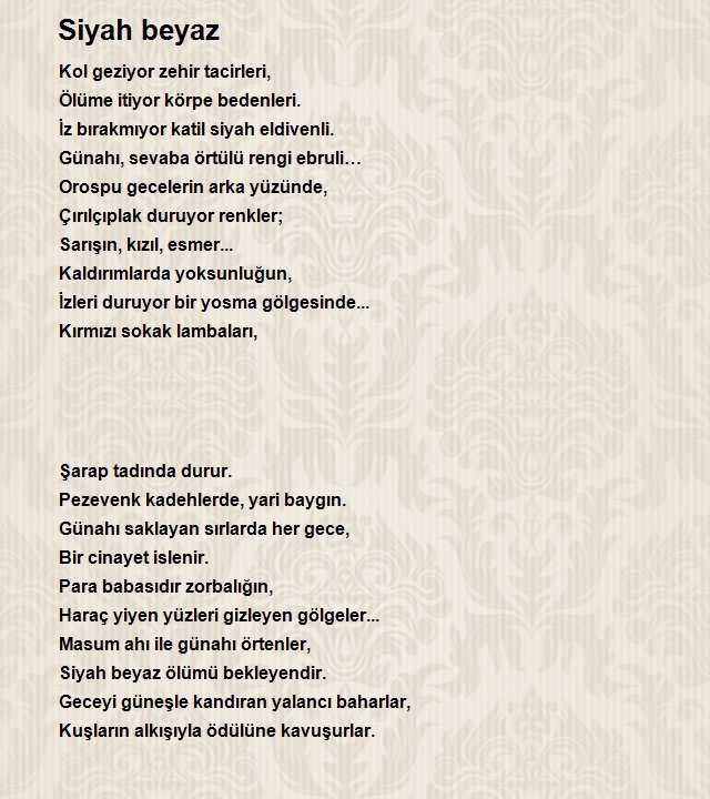 Derya Avşar
