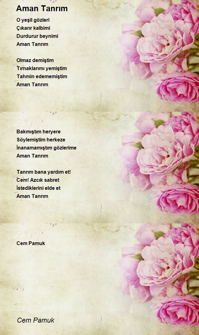 Cem Pamuk