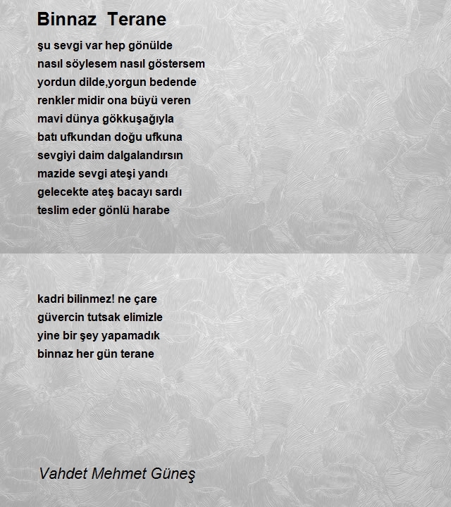 Vahdet Mehmet Güneş