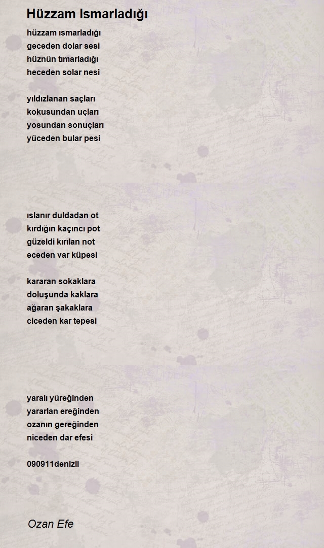 Ozan Efe