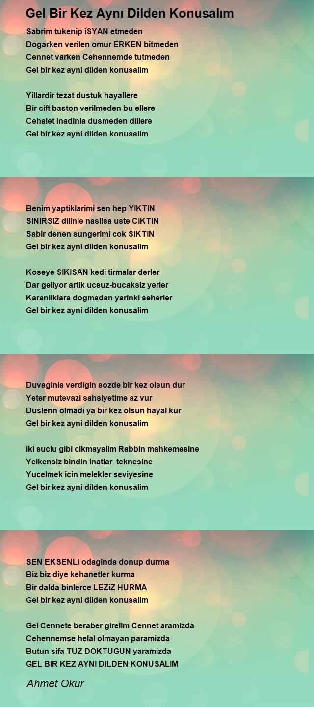 Ahmet Okur