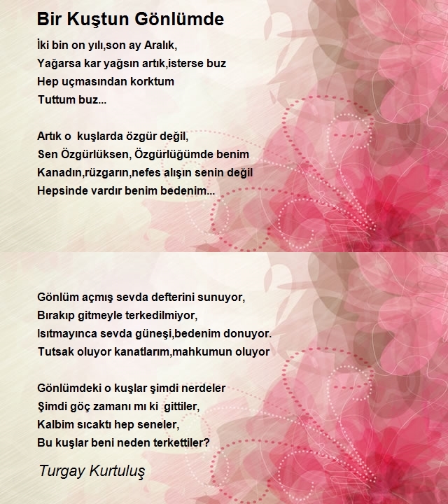 Turgay Kurtuluş