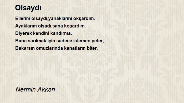 Nermin Akkan