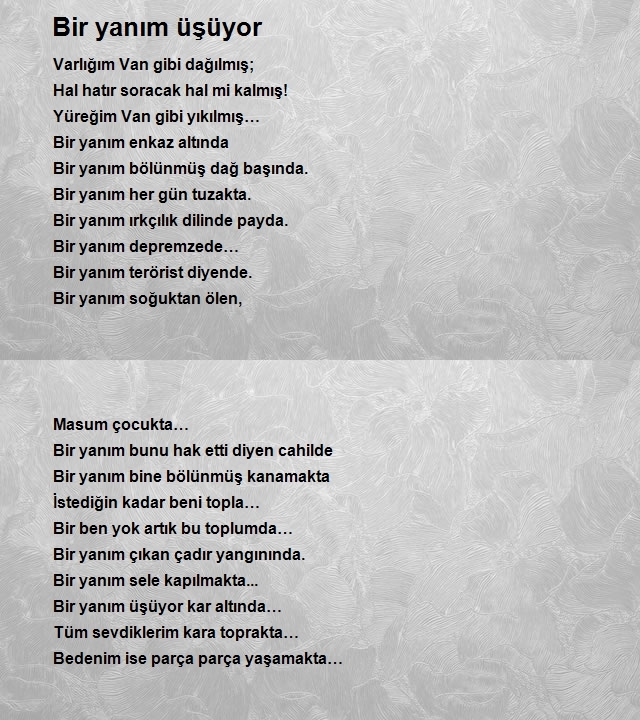 Derya Avşar