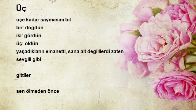 Nevzat Hacibektaşoğlu