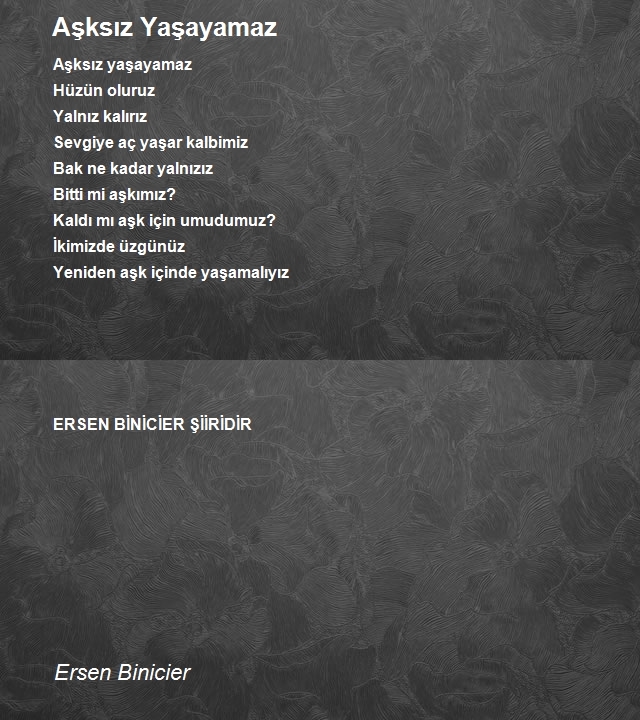 Ersen Binicier