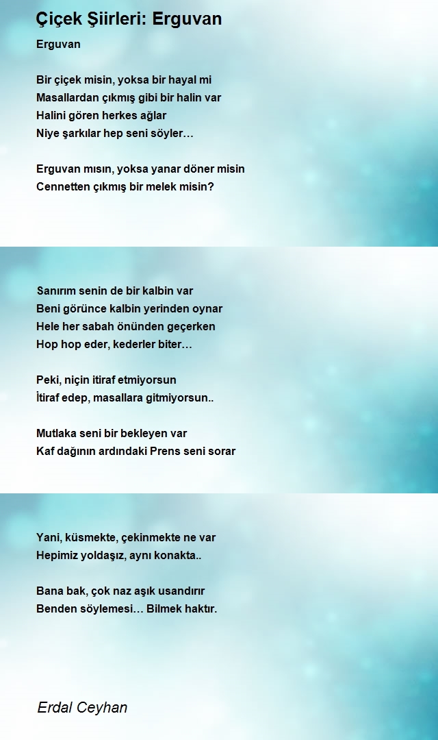 Erdal Ceyhan