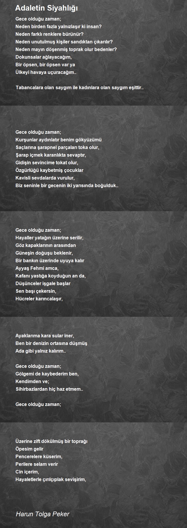 Harun Tolga Peker