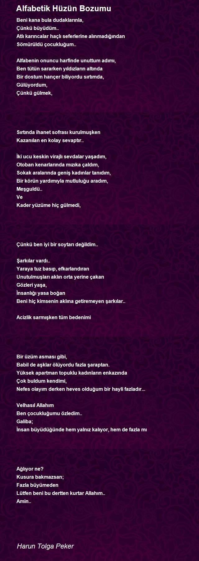 Harun Tolga Peker