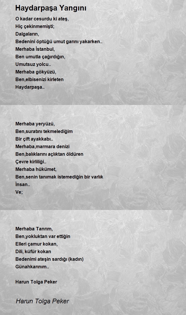 Harun Tolga Peker