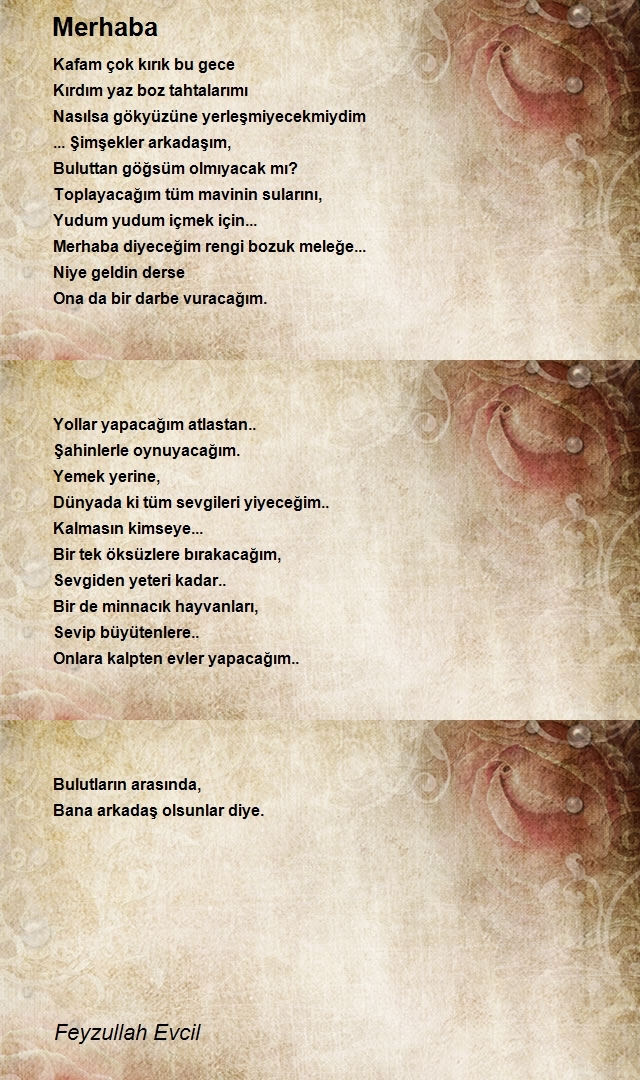 Feyzullah Evcil