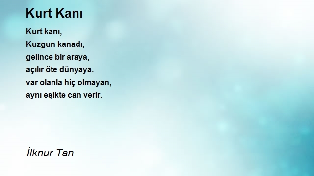 İlknur Tan