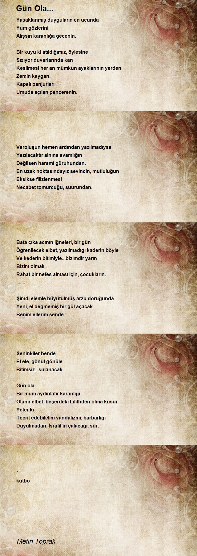 Metin Toprak