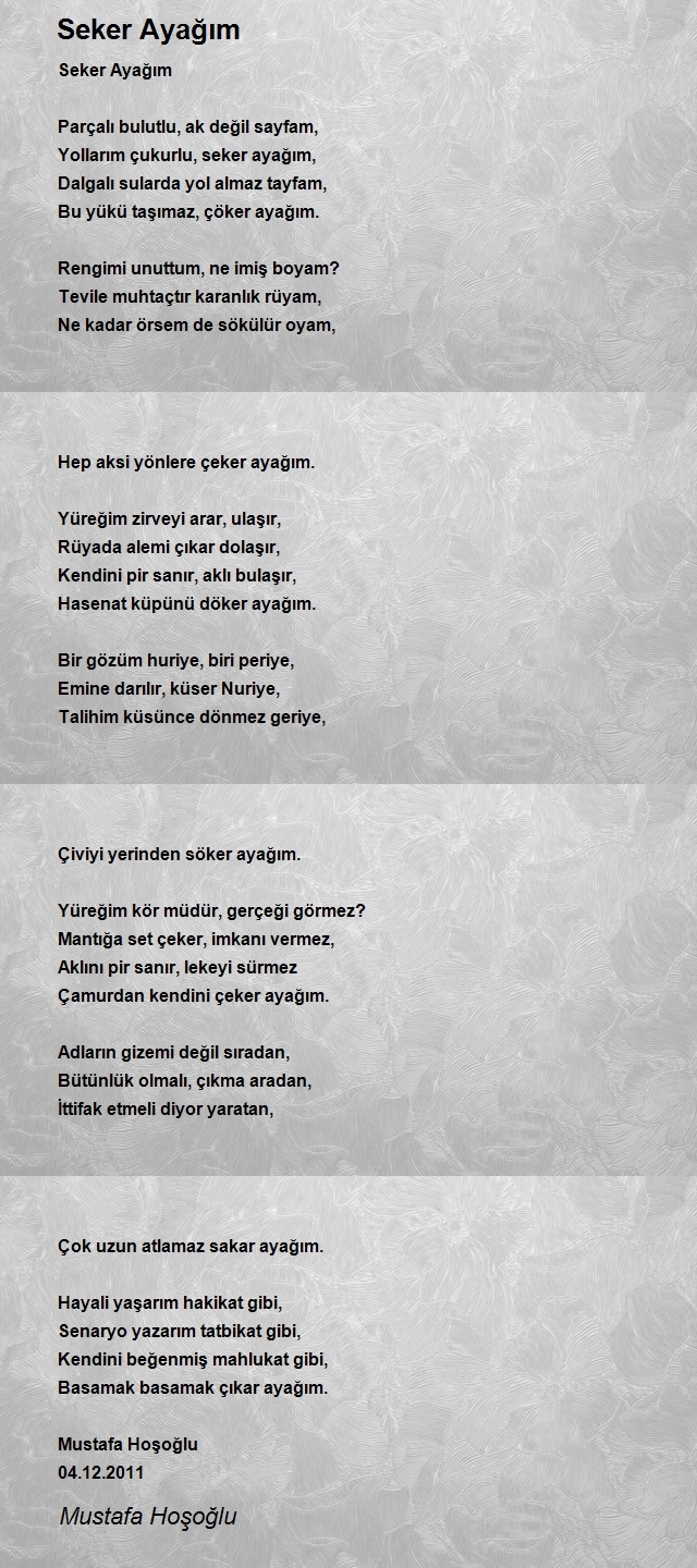 Mustafa Hoşoğlu