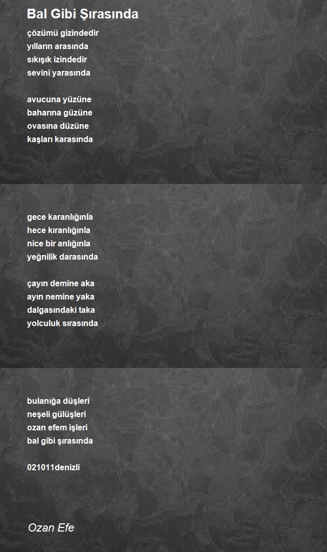 Ozan Efe