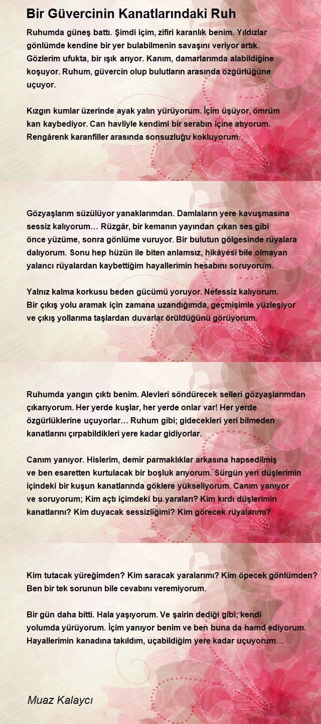 Muaz Kalaycı