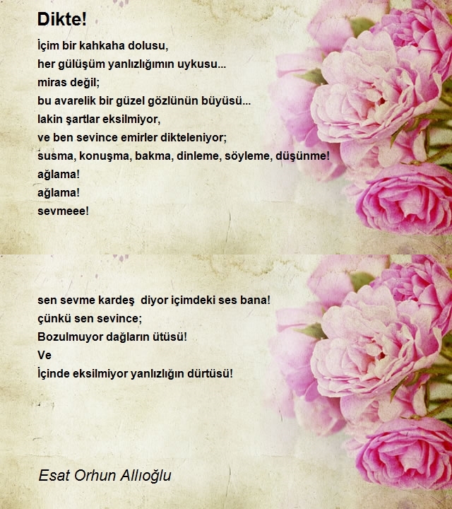Esat Orhun Allıoğlu