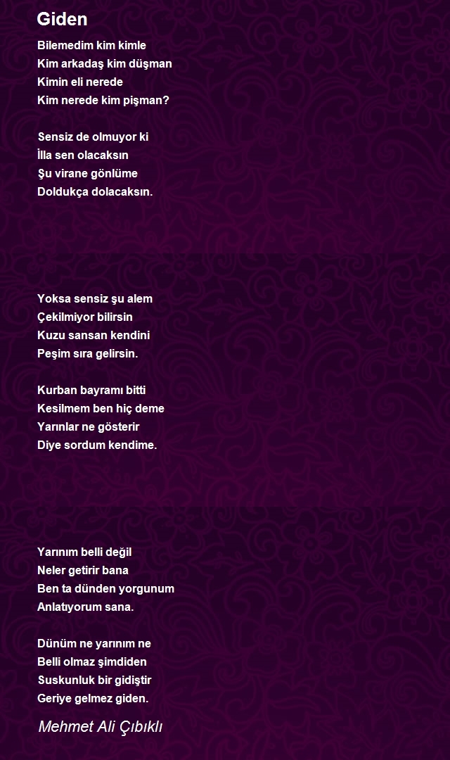 Mehmet Ali Çıbıklı