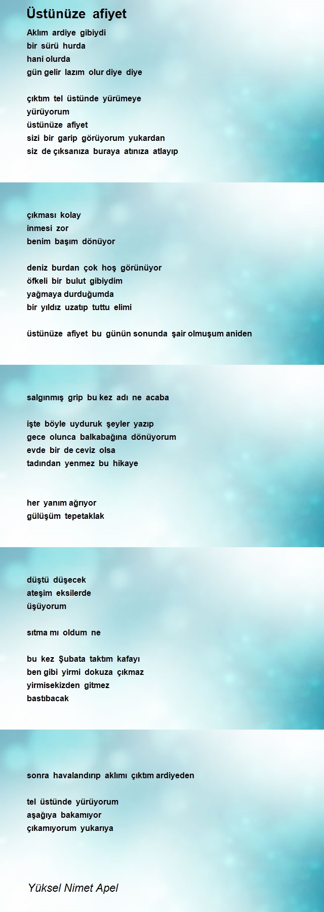 Yüksel Nimet Apel