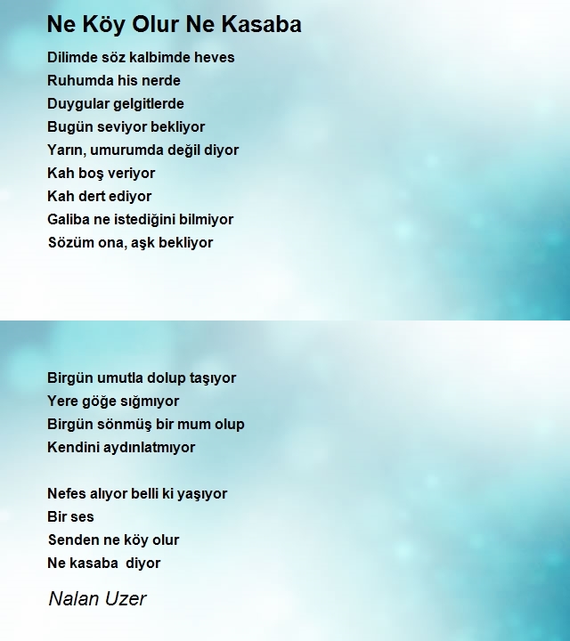 Nalan Uzer