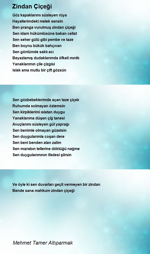Mehmet Tamer Altıparmak