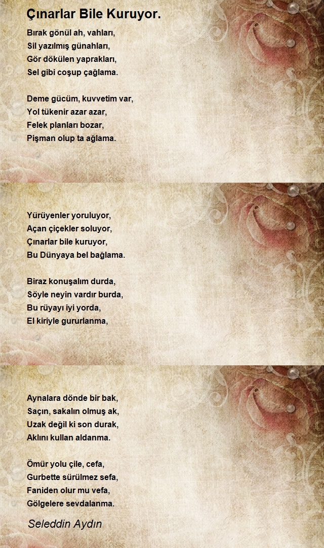 Seleddin Aydın