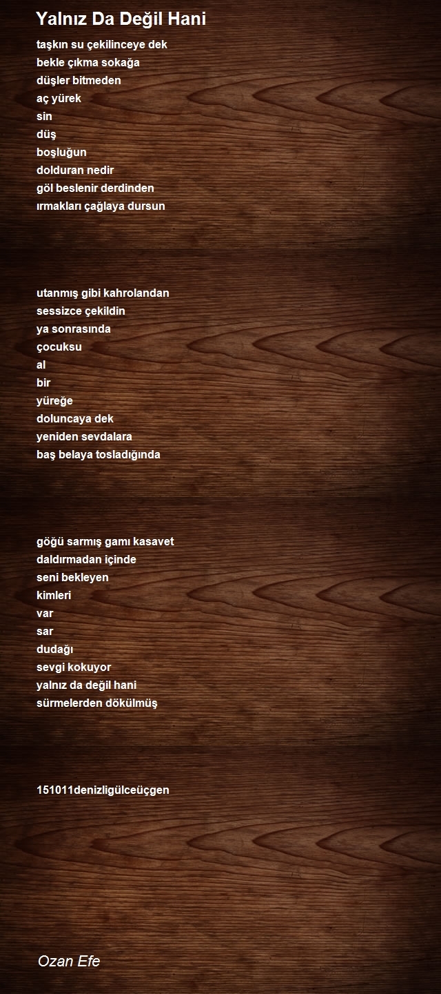 Ozan Efe