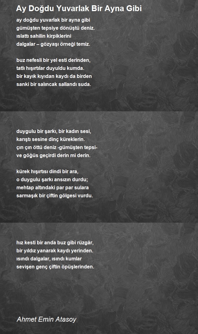 Ahmet Emin Atasoy