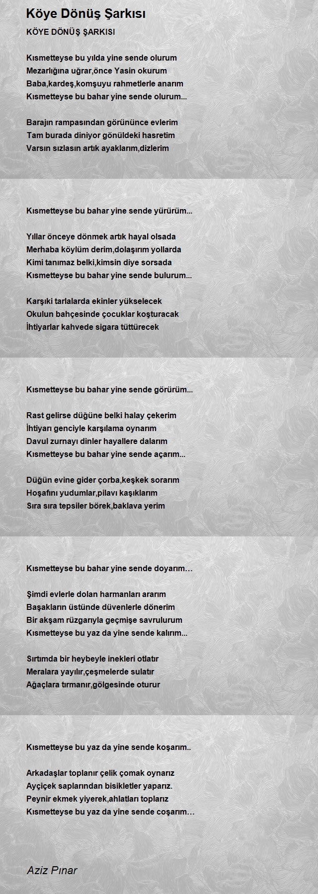Aziz Pınar