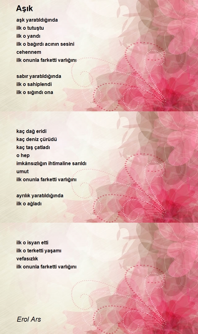 Erol Ars