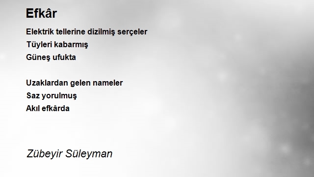 Zübeyir Süleyman