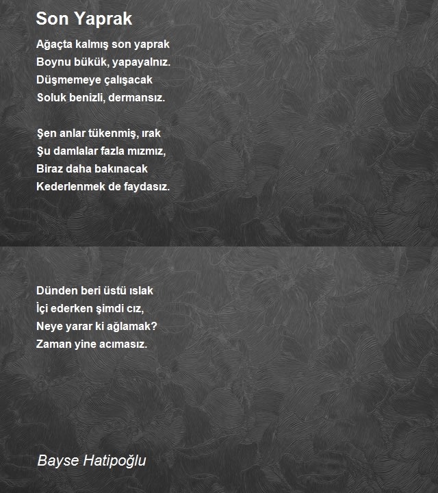 Bayse Hatipoğlu