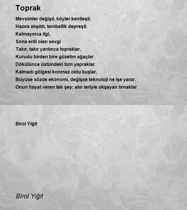 Birol Yiğit