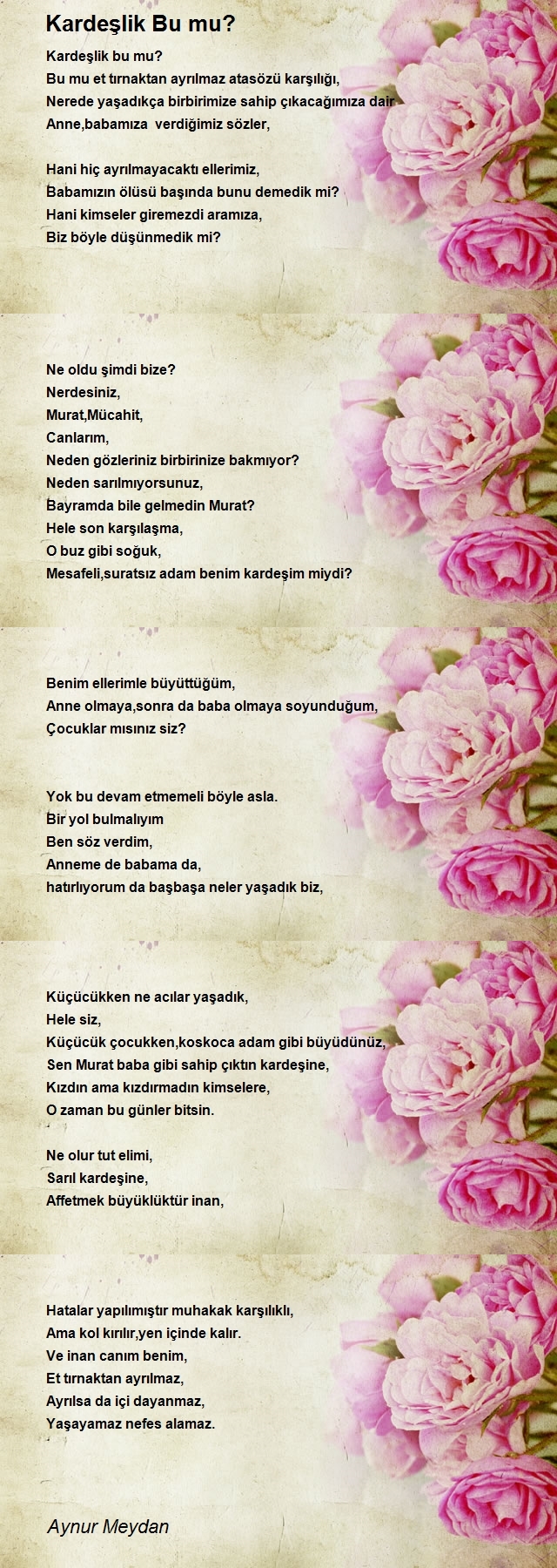 Aynur Meydan
