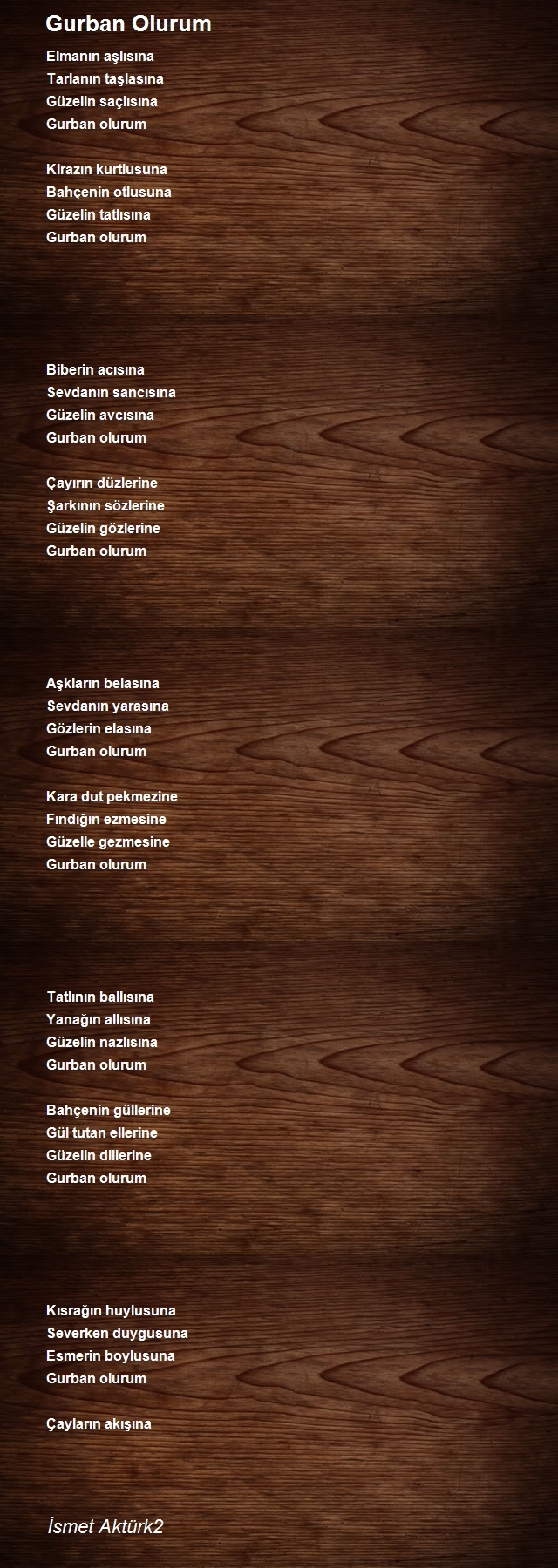 İsmet Aktürk2