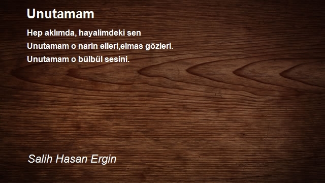 Salih Hasan Ergin