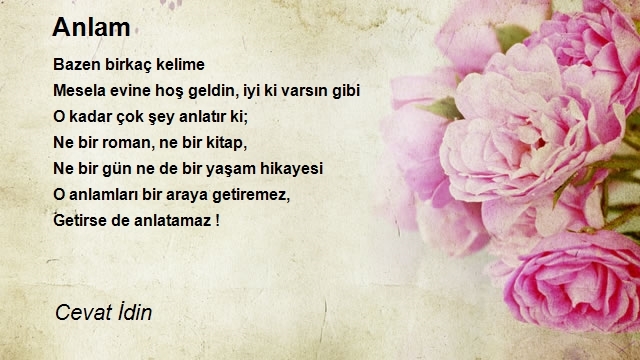 Cevat İdin
